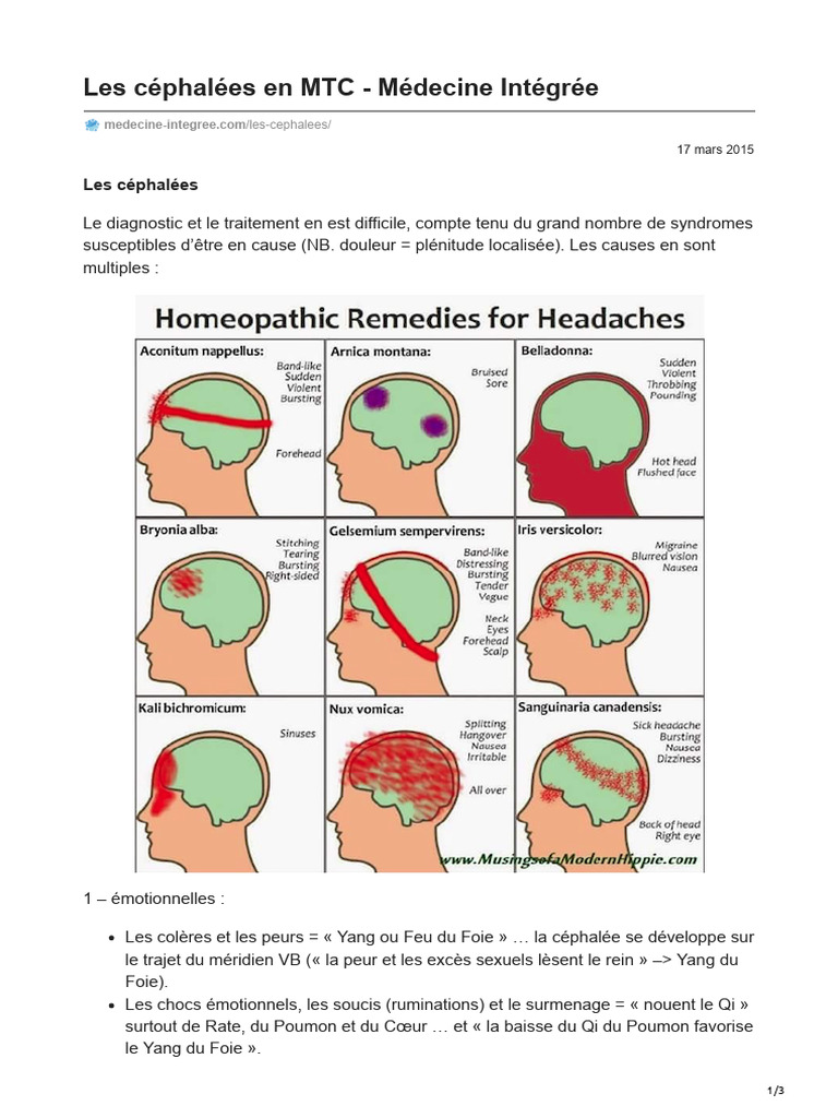 Céphalées : Causes et Diagnostics MTC | PDF