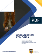 Organización Ecológica