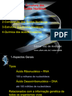 Dna Structure