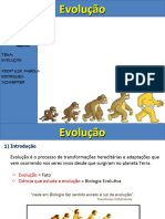 Aula Evolução 3 Ano