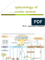 endocrine sytem 2020