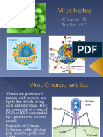 Virus Powerpoint