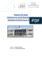 Rapport de Stage Jihad