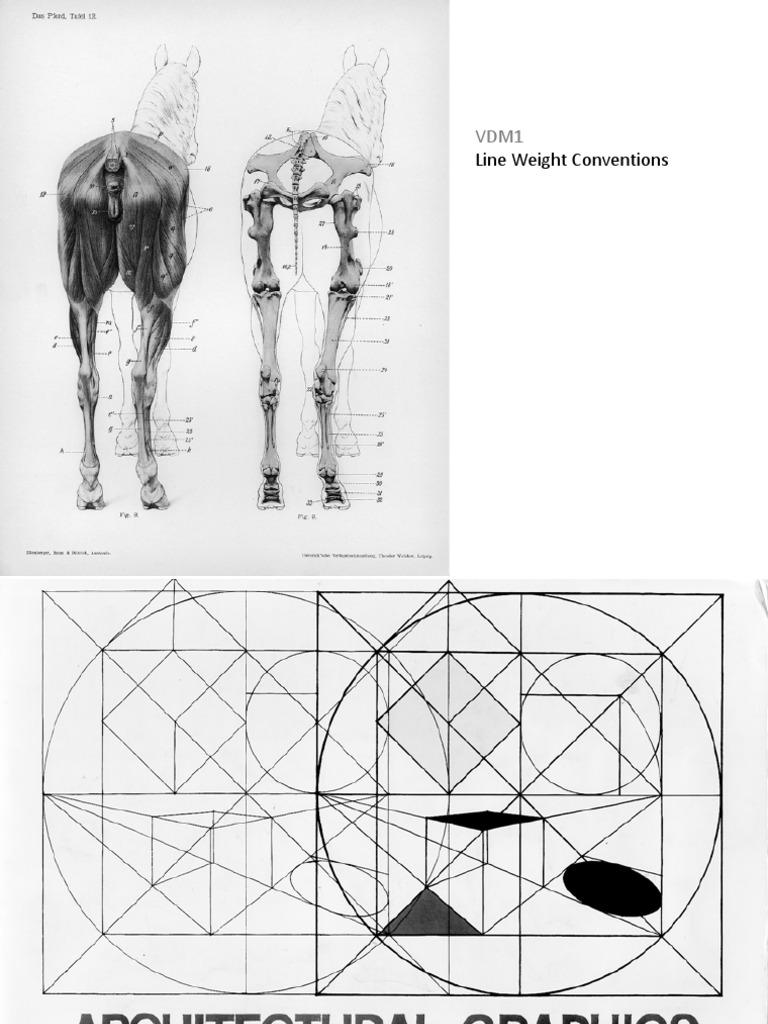 Line Weight Lecture | PDF