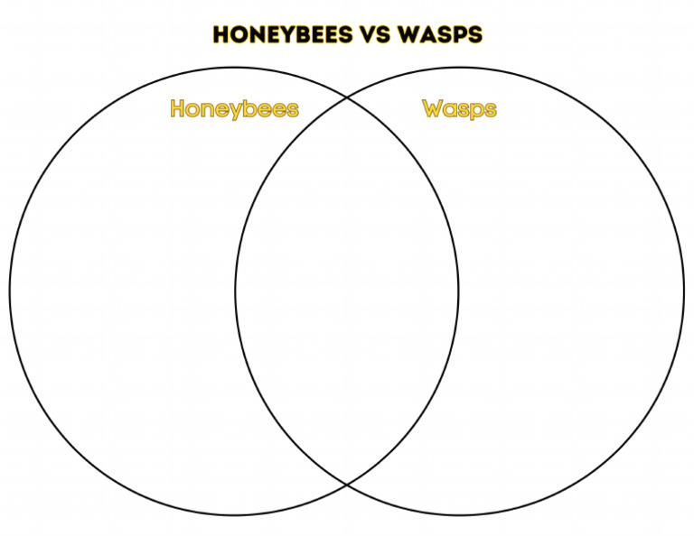 Honeybees Vs Wasps Venn Diagram | PDF