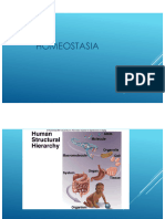 FISIOLOGIA - AULA - 1 - Homeostasia