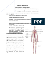 1er Seminario Cardiovascular