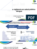 Protocolo Dengue UT Tolihuila