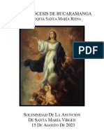 Solemnidad de La Asunción - SMR