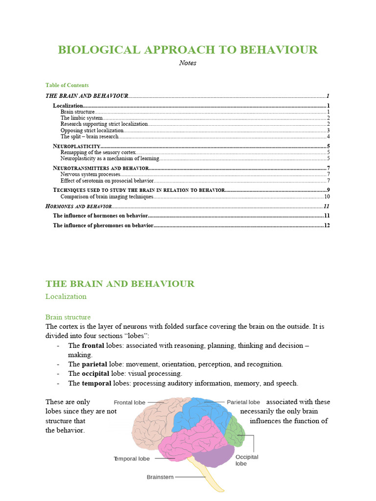 Biological Approach To Behaviour Interactive