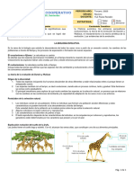 Guía 1. La Historia de La Evolución.