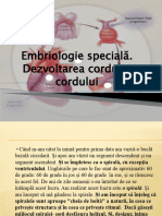 Curs Cord Embriologie