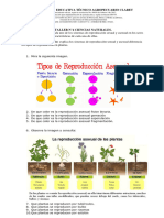 TALLER N°2 C. Naturales 8 Cognitiva