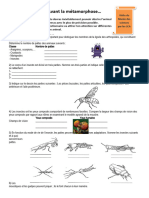 Questionnaire Musée Sciences