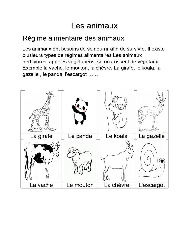 Le Régime Alimentaire Des Animaux Les Animaux | PDF