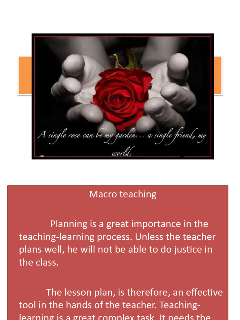Macro Teaching PDF Lesson Plan Teachers