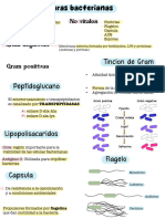 Microbiología 