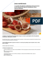 Tinturas Com Plantas Medicinais - Dicas Cursos CPT - Cursos A Distância CPT