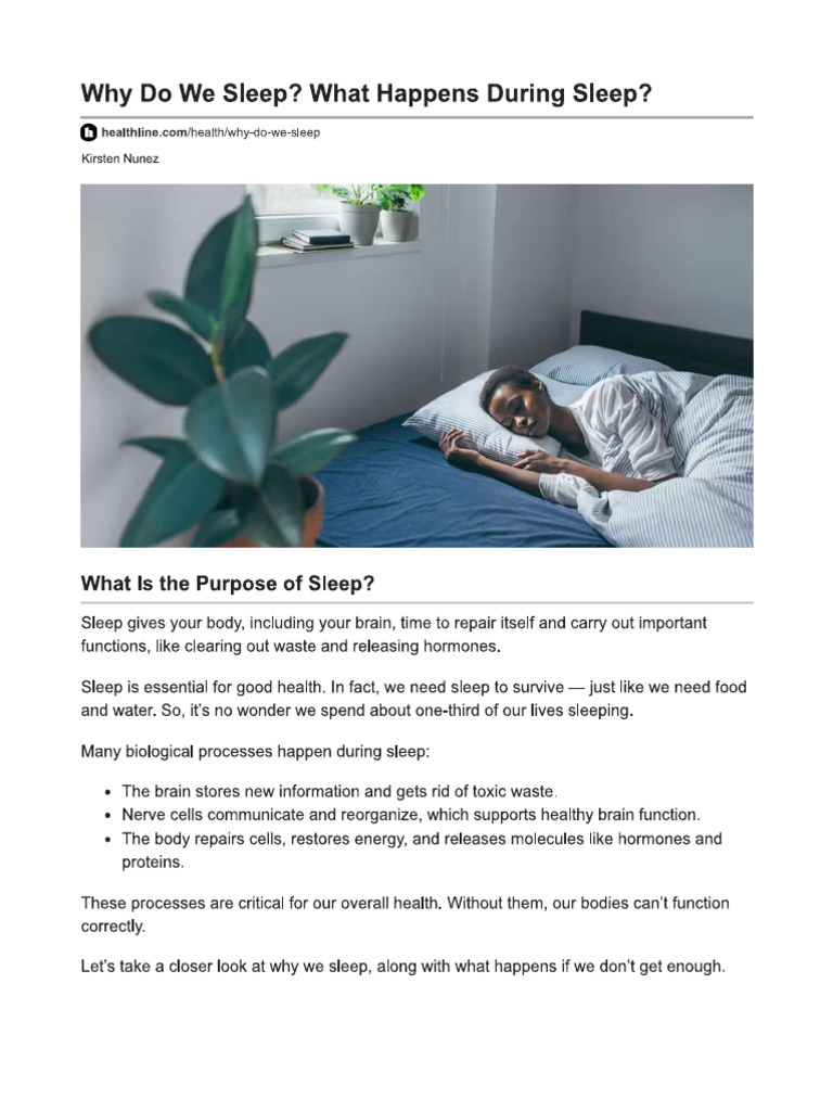What Is The Purpose of Sleep PDF