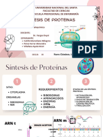 Seminario de Síntesis de Proteina - Grupo A
