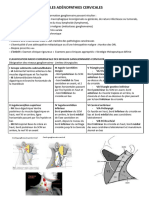 Les Adénopathies Cervicales