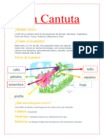 La Cantuta