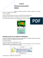 Filamentos Intermedios, Biología Celular