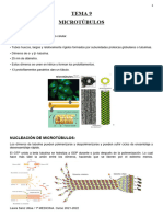 Microtúbulos, Biología Celular