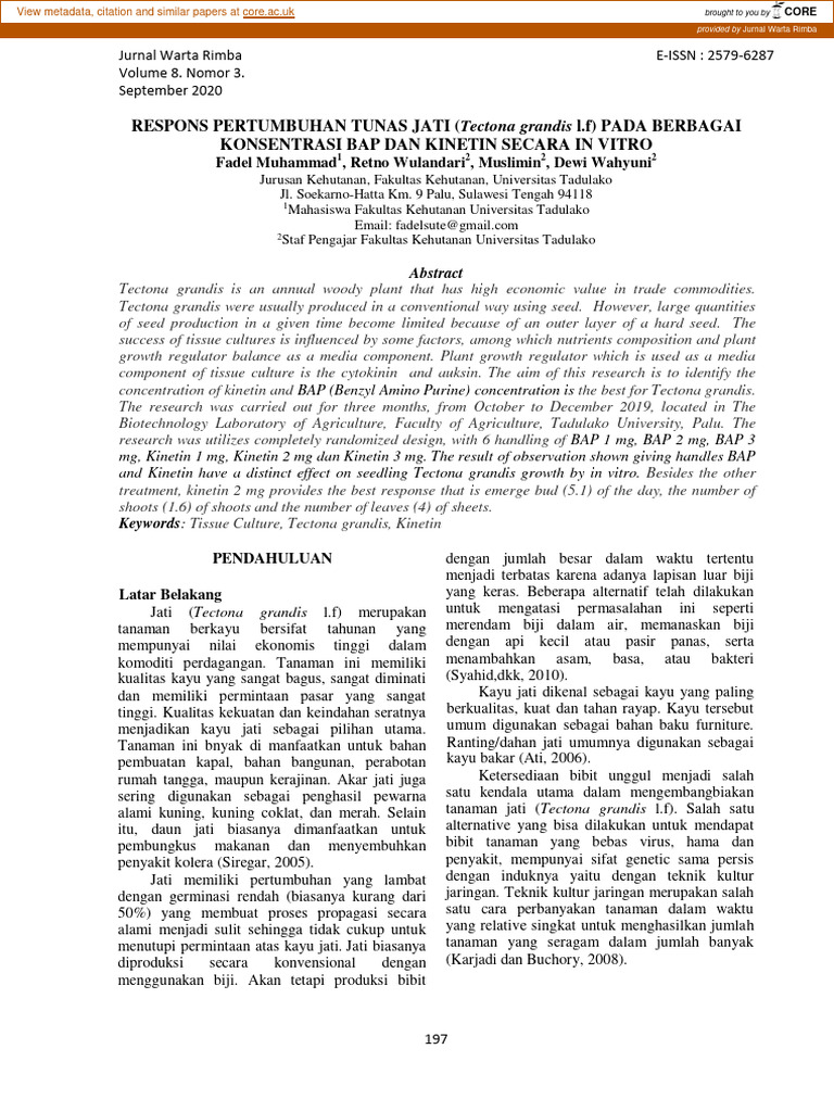 Pembakar Bunsen | PDF