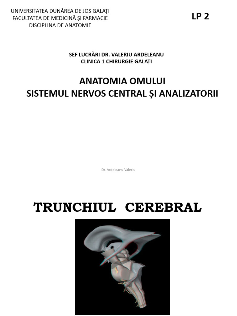 ANATOMIE SNC LP 3 Configuratia Externa A Trunchiului Cerebtal | PDF