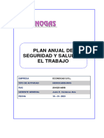 Plan Anual de SST ECONOGAS 2023