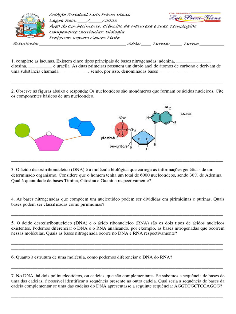 Atividade - Ácidos Nucleicos | PDF