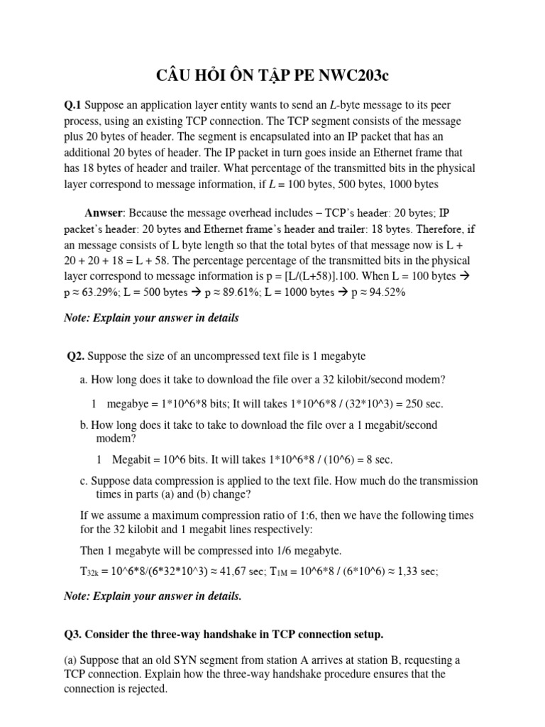 SAMPLE EXAM PE NWC203c | PDF
