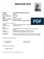 Curriculum Vitae Nuevo