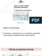 01 U2 8B Biologia Teorico