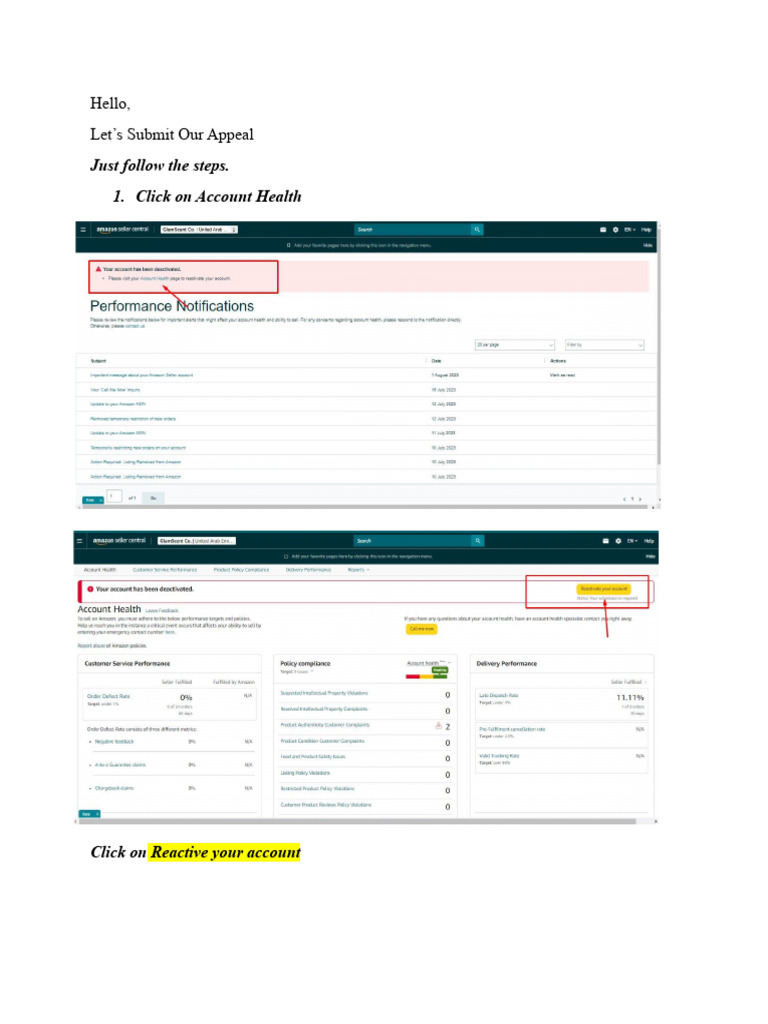 How To Submit Appeal Letter1 PDF