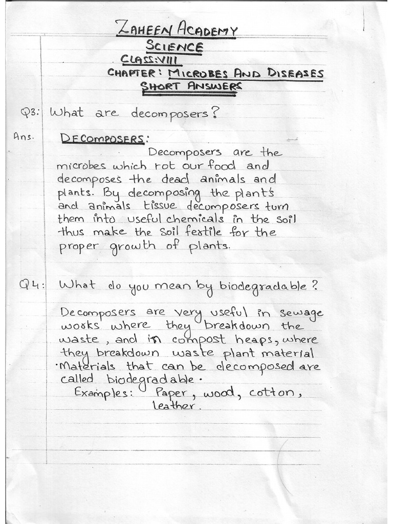 Class 8th math islamiate and science handsouts pdf