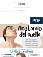 Anatomia Del Cuello 615278 Downloadable 4063471