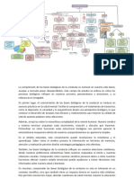 Bases Biológicas de La Conducta