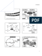 Aula 04.síntese de Aminoácidos