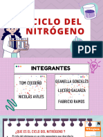 Diapositivas Del NITRÓGENO