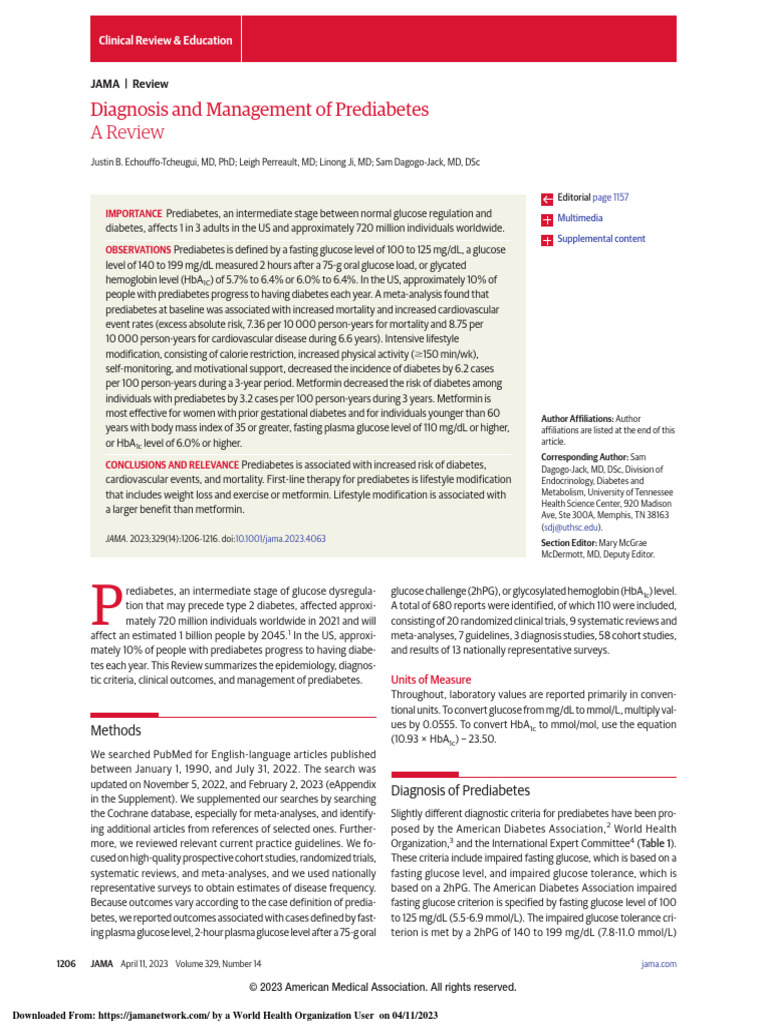 Prediabetes management strategies for long-term health