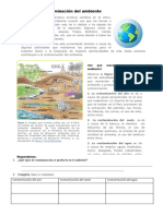 La Contaminación Del Ambiente