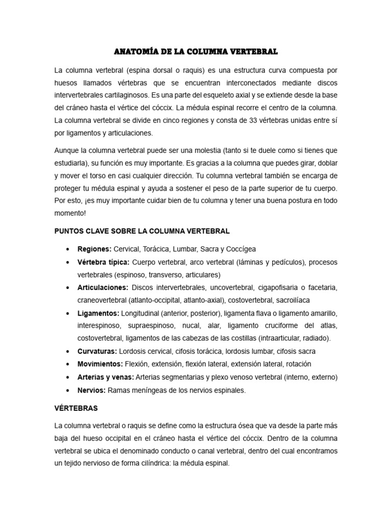 Anatomía De La Columna Vertebral Descargar Gratis Pdf La Columna