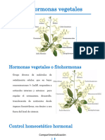 4.1 Las Hormonas Vegetales-Fiogral