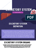 Excretory System