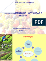 Processamento Frutas e Hortaliças14