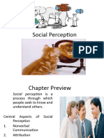 Social Perception Chap 3