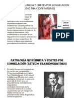 Patologia Quirurgica