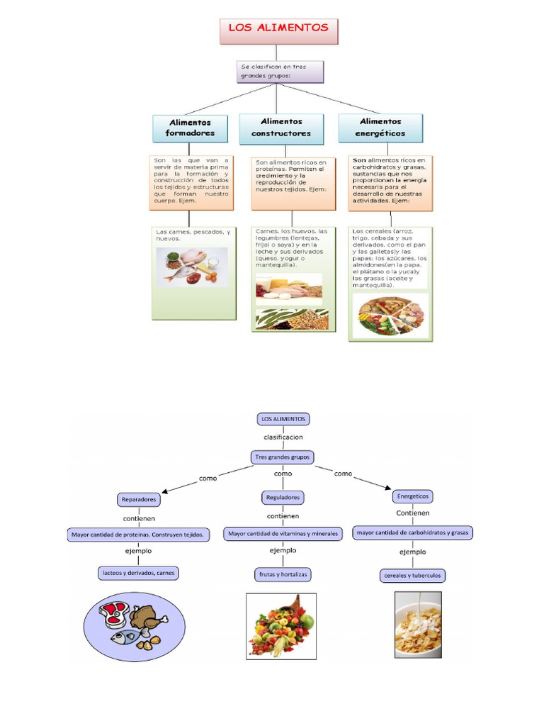 mapa conceptual de los alimentos | PDF